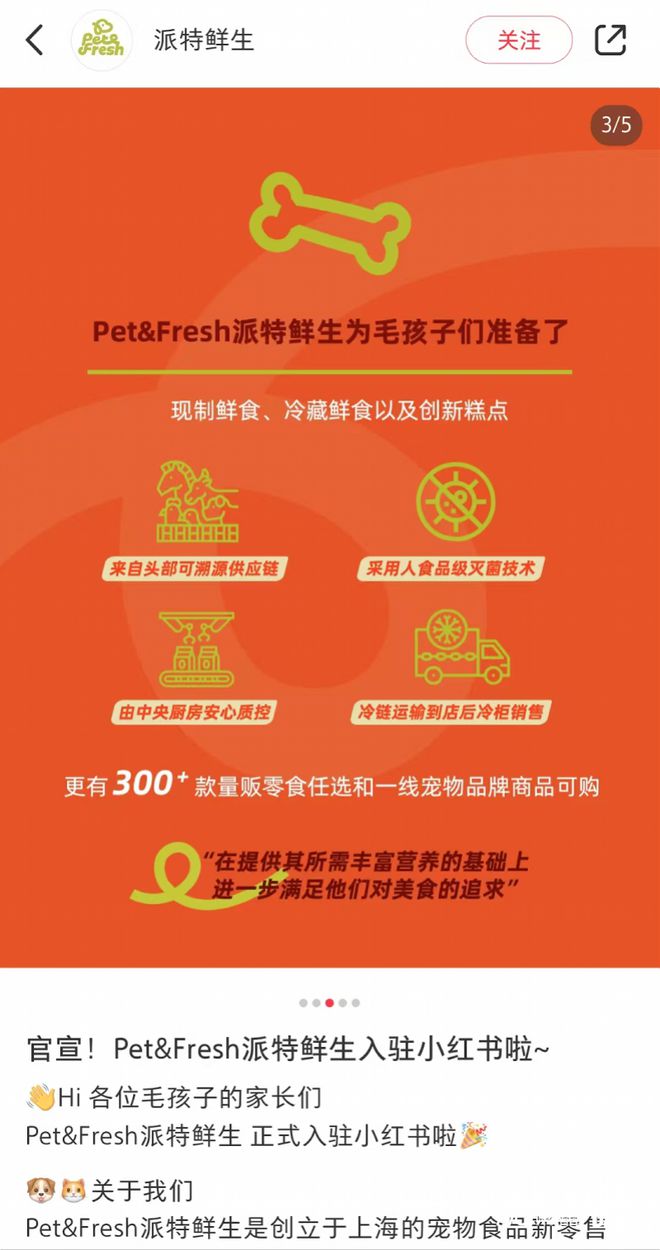 盒马创始人侯毅新项目将开首店瞄准上海宠物食品第一品牌(图1)