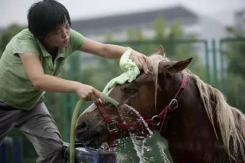 代表委员履职故事｜贺丹：完善失能老人照护体系 激发银发经济活力