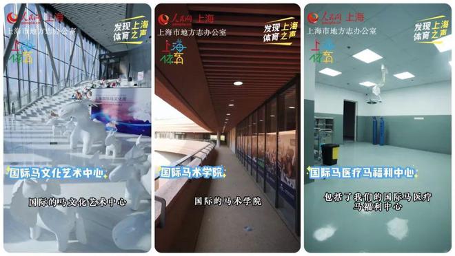 来上海久事国际马术中心邂逅建筑艺术与运动之美(图9)