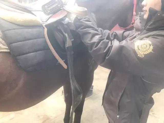 天国拯救2毕业马匹及马具如何获取